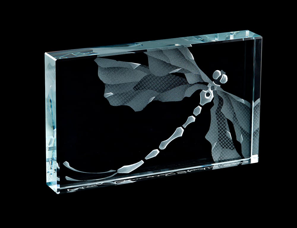 Image of Dragonfly Paperweights