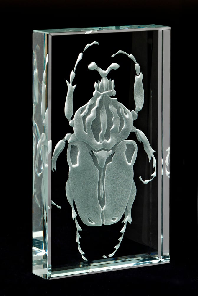 Image of Goliath Beetle Paperweights