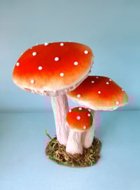 Velvet Toadstool