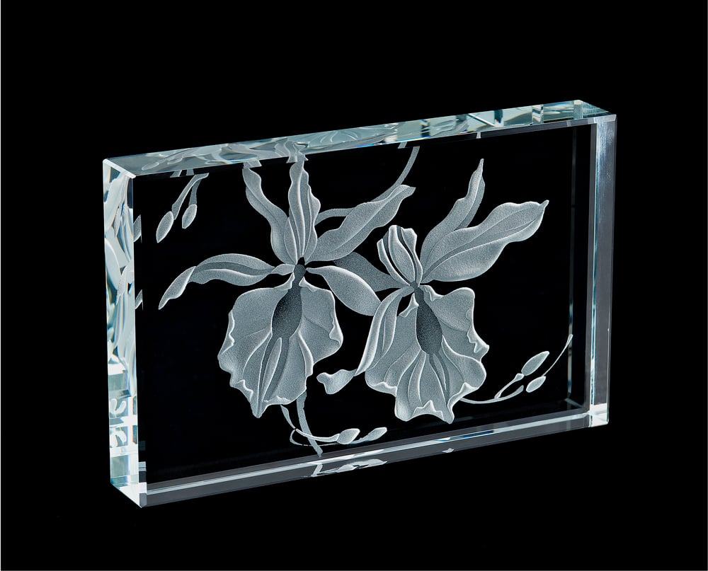 Image of Orchid Paperweights