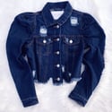 Adore Me Denim Jacket 