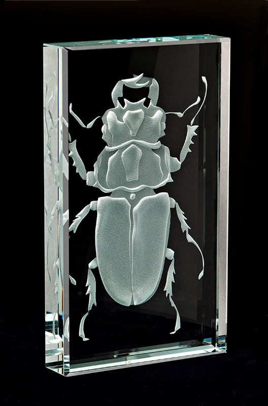 Image of Stag Beetle Paperweights