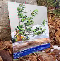 Image 2 of - Lakeside Shine -