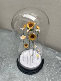 Image 4 of Jardin intérieur, fleurs sous cloche XL -2