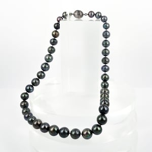 Image of Strand of dark coloured natural freshwater pearls. Cp0992