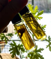 Image 1 of Eucalyptus Chest Roller