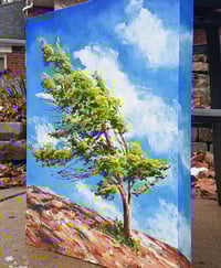 Image 2 of - Killbear Memory -