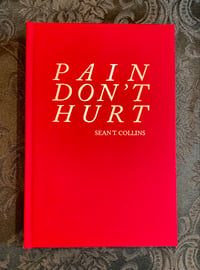 Pain Don't Hurt: Meditations on Road House