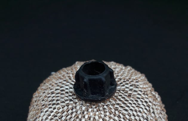 Image of Amer(e).                                                 