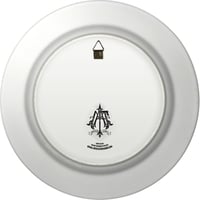 Image 4 of  Alice falling down - Large Fine China Plate - #0743