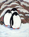 Penguins - Print limited print