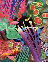 Image 1 of “Swimmers” Art Print