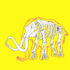 Yellow Mammoth - Skin and Bone series 