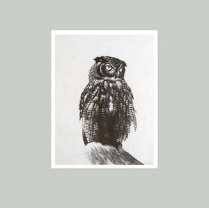 Image of OWL