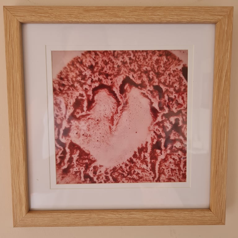 MADE OF LOVE