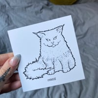 Image 2 of Postcard Ghostcat