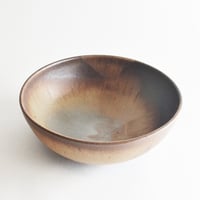 Image 2 of earthy noodle bowl