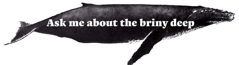 briny deep