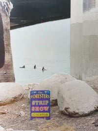 Image 3 of 'Under the bridge'