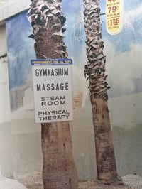 Image 5 of 'Under the bridge'
