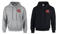 Curry Rail Pullover Hoodie