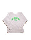 VTG Hanes Beefy Crew
