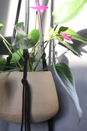 Image of Paracord Hanging planter