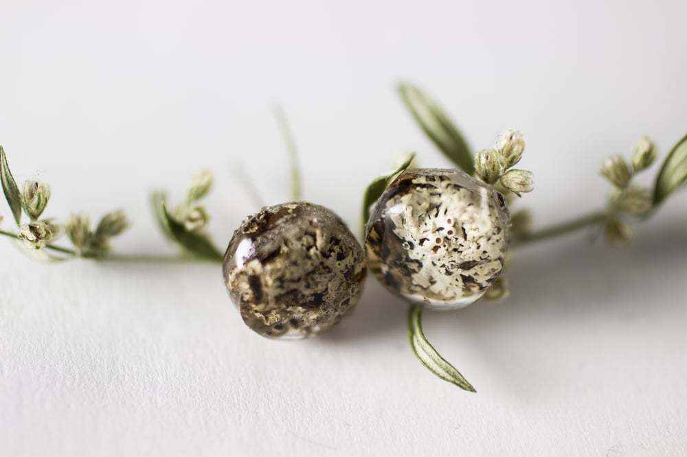 Image of Lichen Specimen Post Earrings