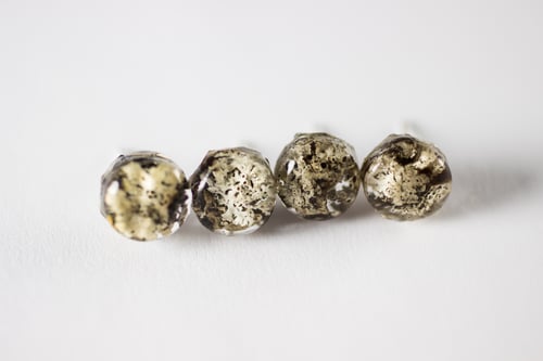 Image of Lichen Specimen Post Earrings