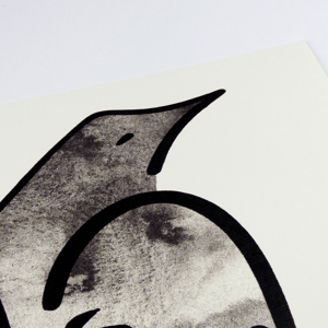 L'oiseau plume