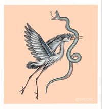 Heron & snake