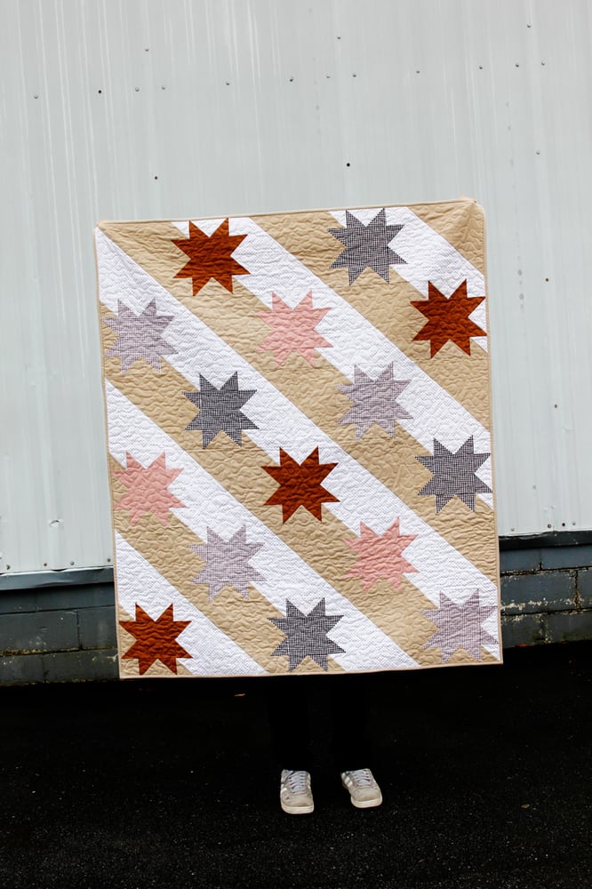 Image of The STARS AND STRIPES PICNIC Quilt