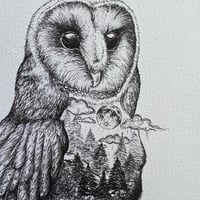 Image 2 of Estelle the Black Barn Owl