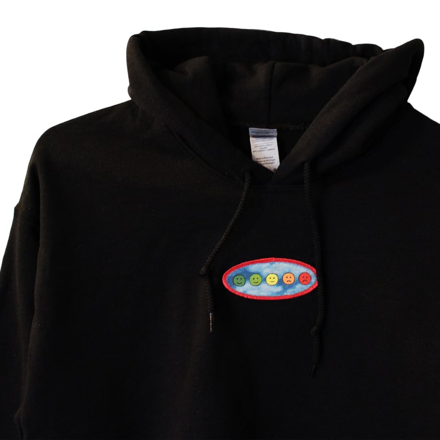 Image of Pain Chart Hoodie 001 (medium)