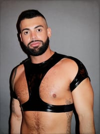 Image 1 of THE MAGNUM STRAP-ON HARNESS