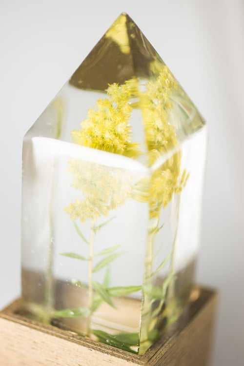 Image of Goldenrod (Solidago canadensis) - Floral Night-Light #1