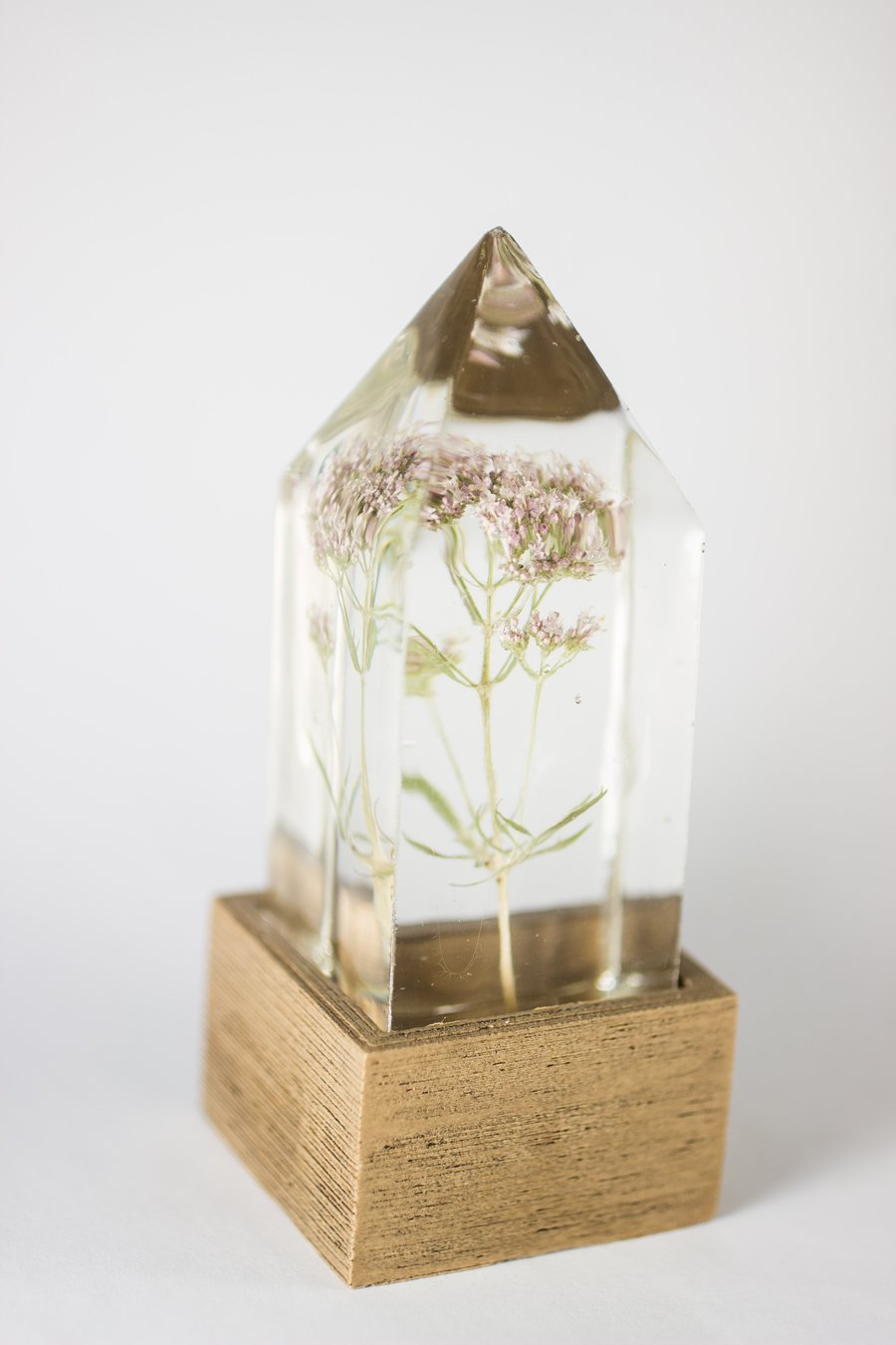 Image of Valerian (Valeriana officinalis) - Floral Night-Light #1