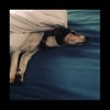 Nerina Pallot<br><i>Old Dog, New Tricks</i> (Digital EP)