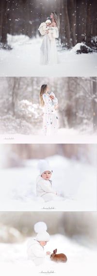 Image 2 of WINTER MINI  SESSION. 2025/2026 deposit 