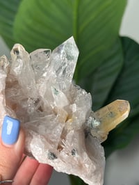 Image 4 of SELF STANDING CHLORITE/IRON INCLUDED COLOMBIAN QUARTZ