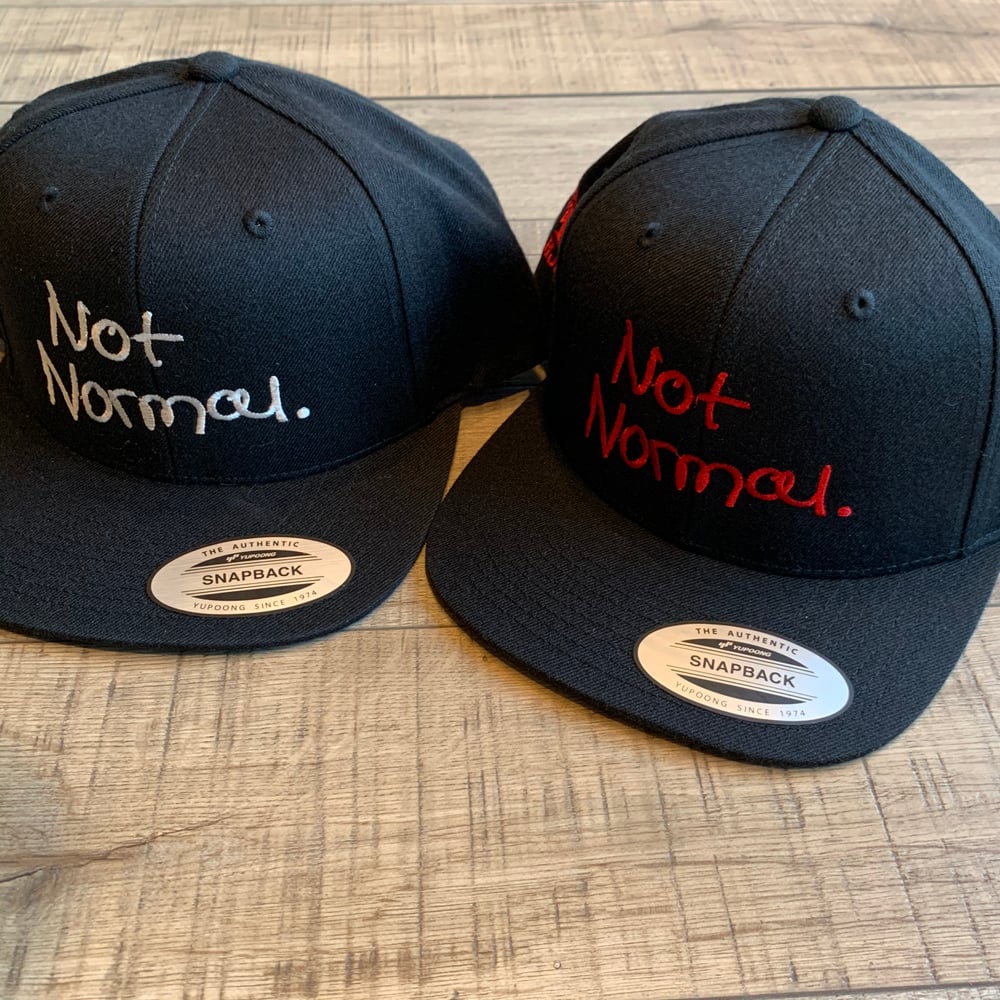 Image of Not Normal snapback