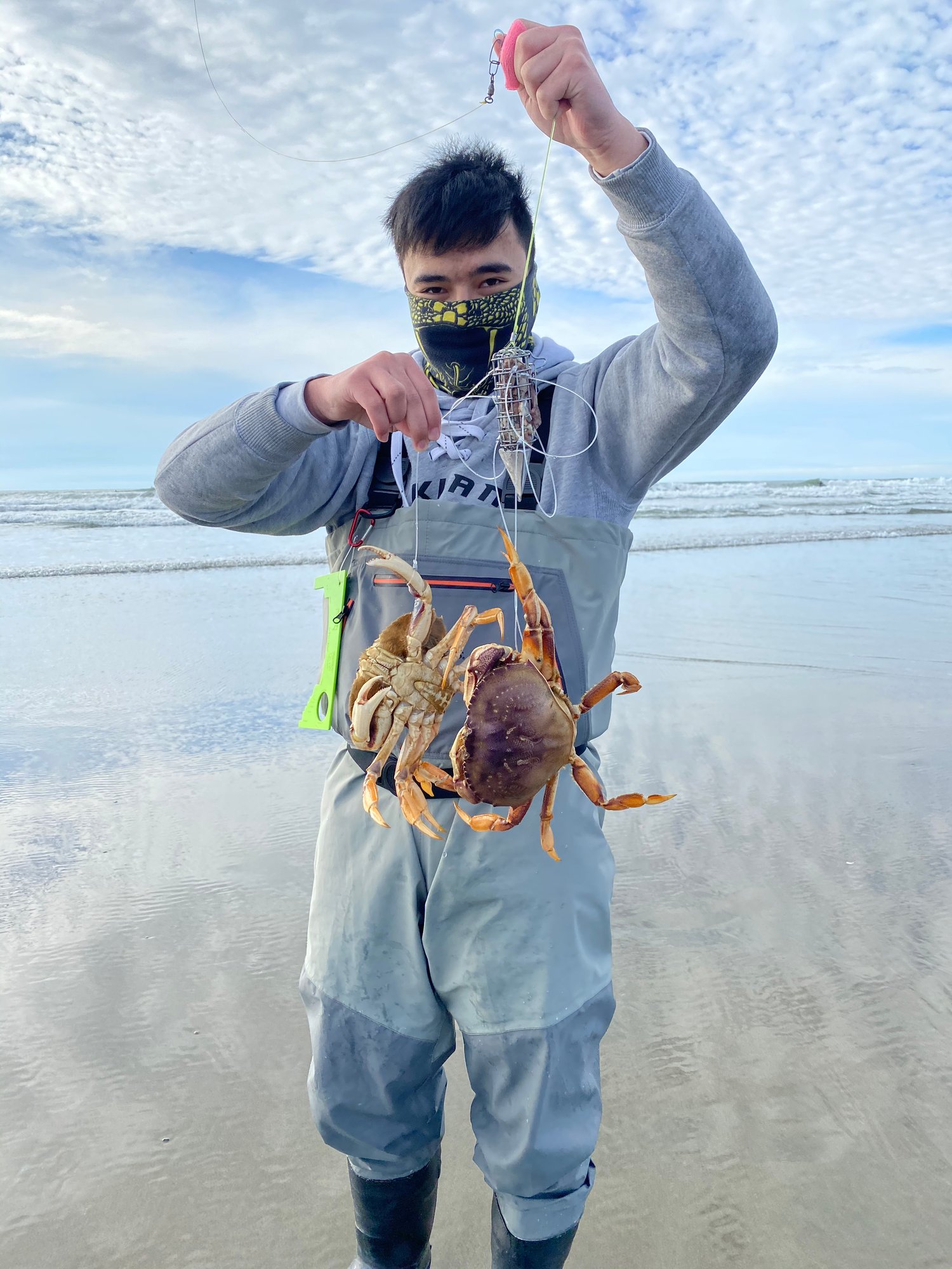 Image of The Nautilus Torpedo Crab Snare