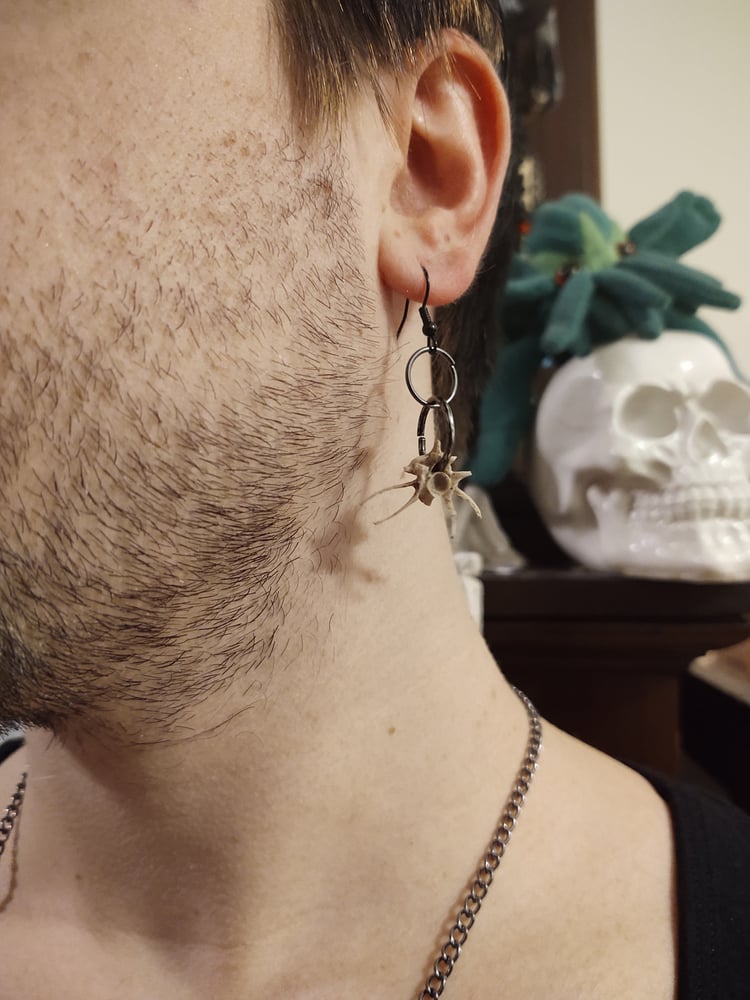 Image of [Slithering Rot] Earrings