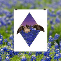 Image 1 of B&B Bluebonnet Bat Poster