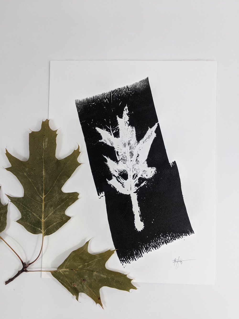 "Renew" - Our original Oak leaf block art print on recycled paper.