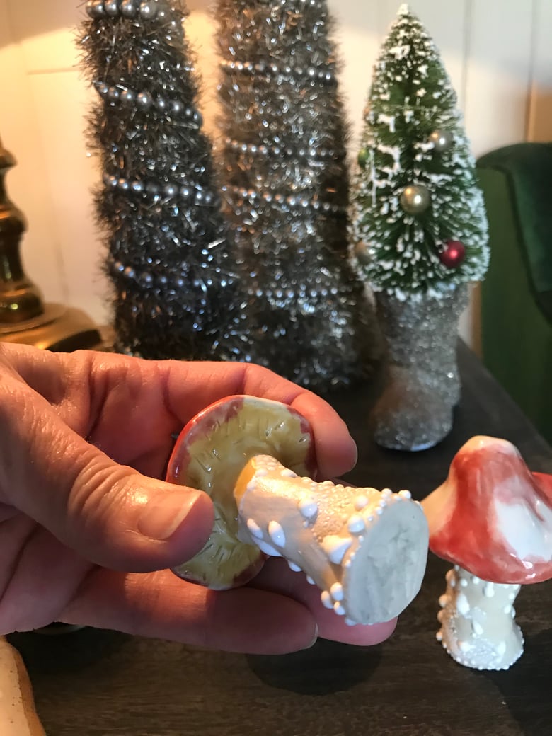 Image of Shrooms Reserved for Margo!