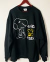 Snoopy & Woodstock  (The World Is Yours)