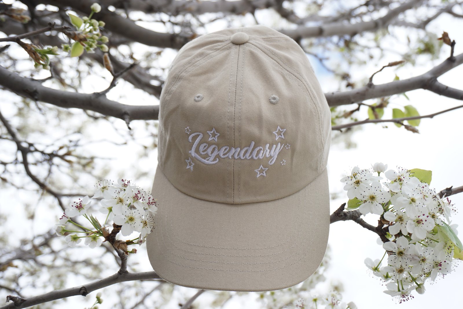 legendary dad hat