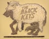 The Black Keys Fillmore CO 2010