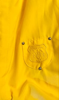 Image 3 of Kaelin Yellow Jacket